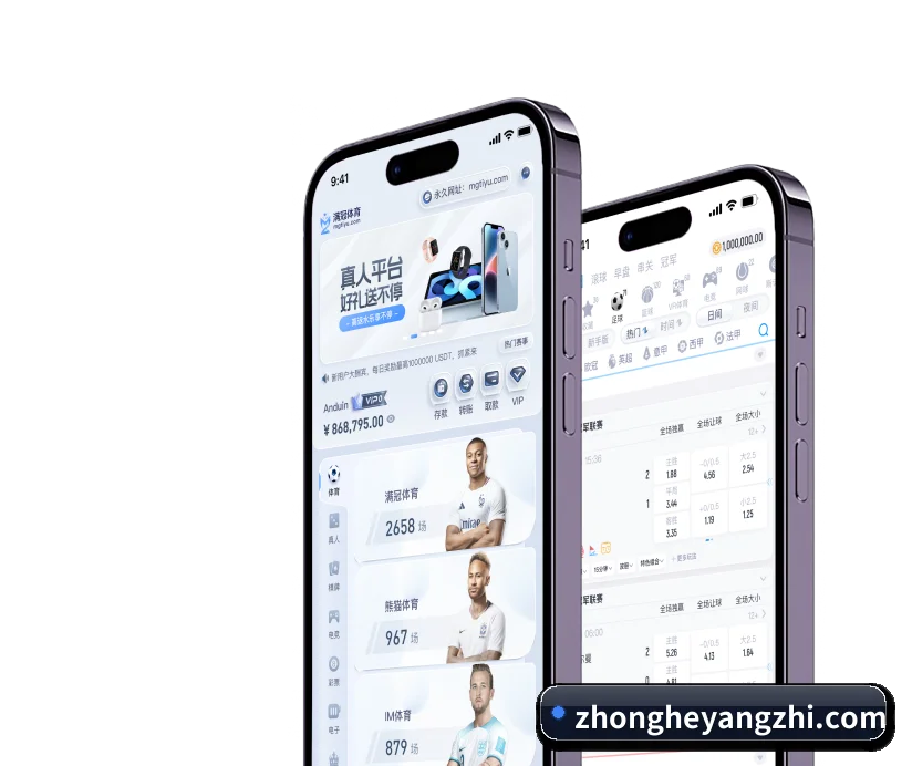 五大结构化功能入口，打造高效率的体育数据检索通道